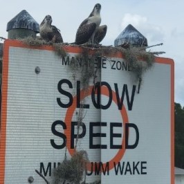 a sign on the side of a building