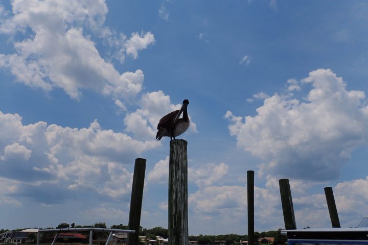 a group of clouds in the sky