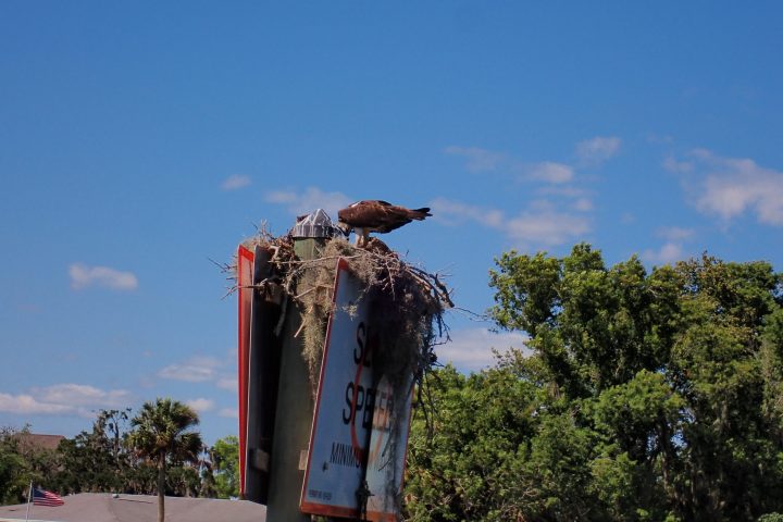 a person standing next to a tree