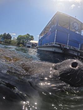 a large body of water