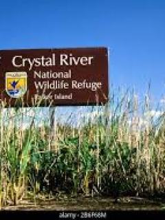 a close up of a sign