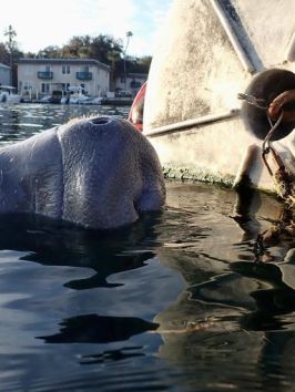 a plane in the water