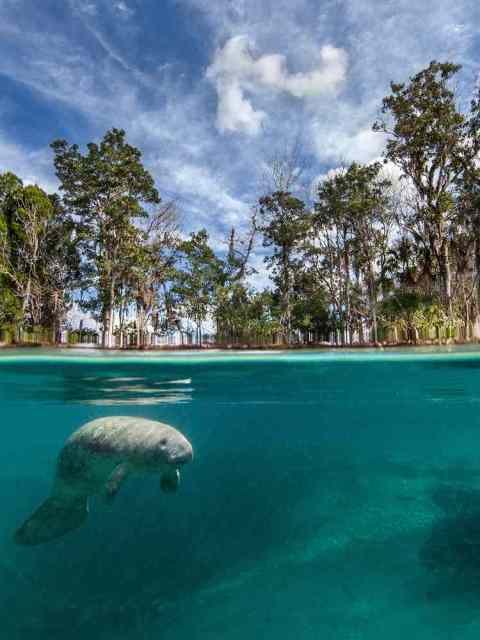 a pool next to a body of water