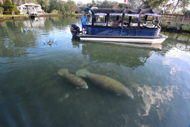 a boat floating along a river next to a body of water